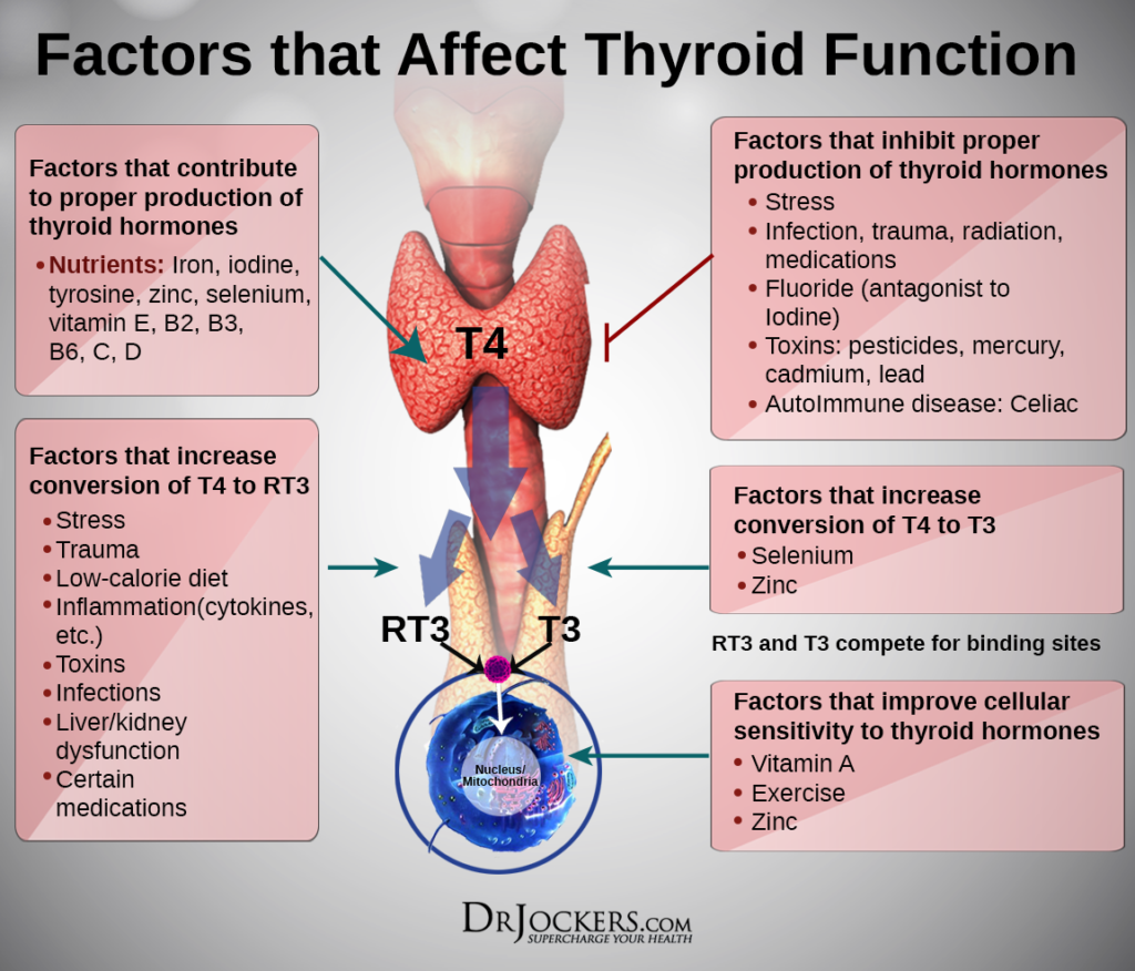 10 Nutrients to Improve Thyroid Function