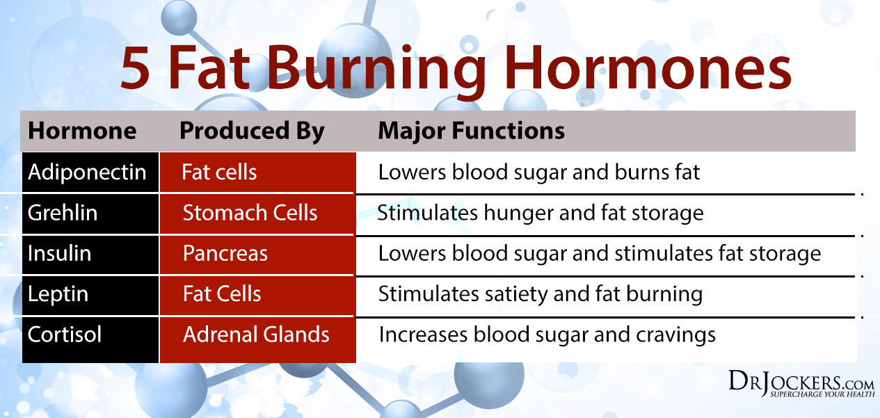 5 Keys to Balance Fat Burning Hormones