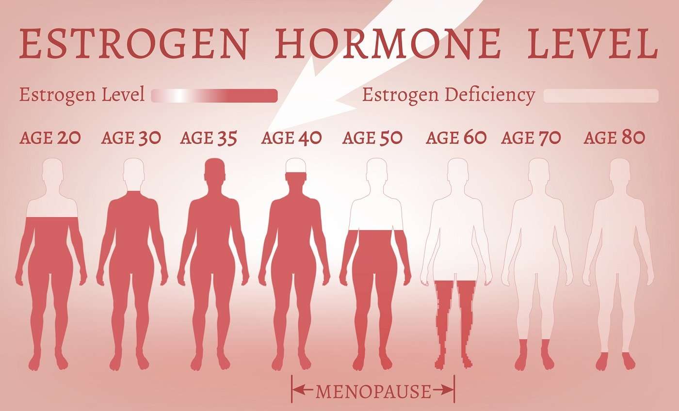Everything you should know about estrogen &  soy