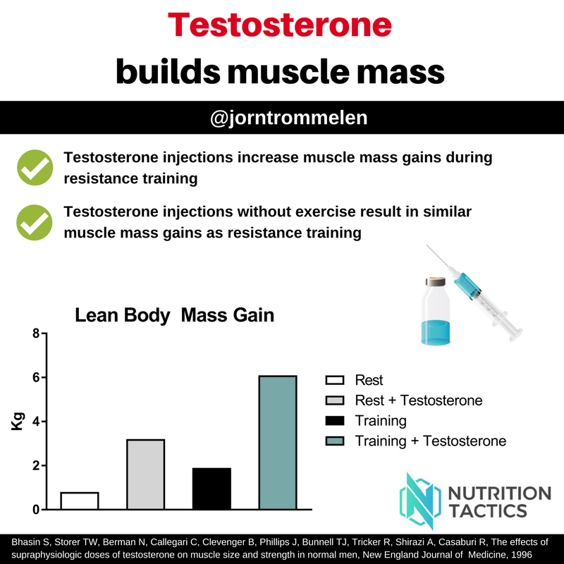 How does testosterone injection affect muscle growth?