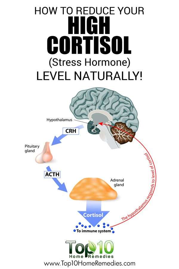 How to Reduce Your High Cortisol (Stress Hormone) Level ...