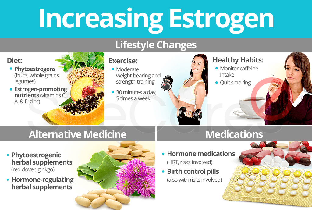 Increasing Estrogen Levels
