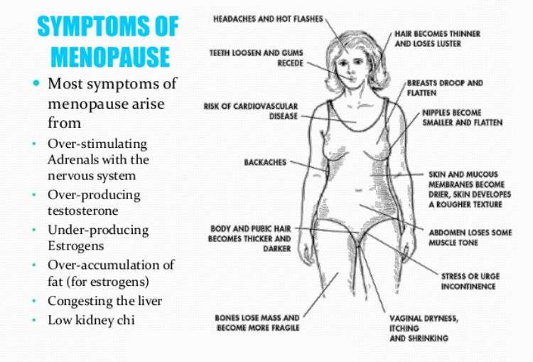 Menopause And How To Rebalance The Hormones