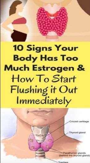 SIGNS YOUR BODY HAS TOO MUCH ESTROGEN AND HOW TO START ...