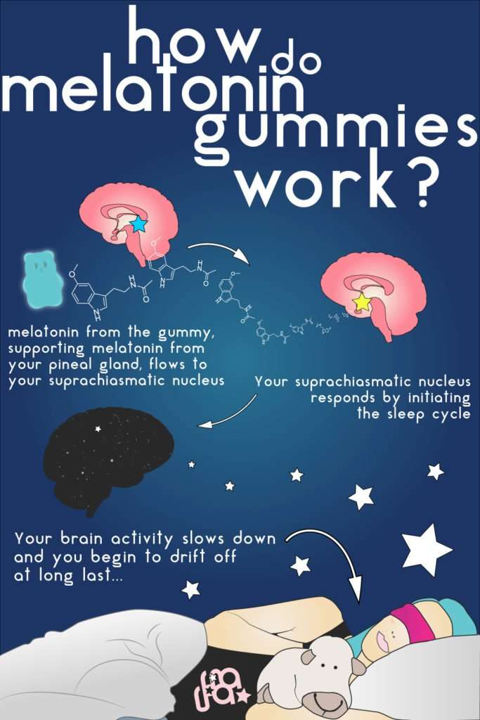 The Guide To Sleep Gummies (plus our favorites)  The ...